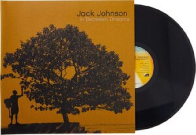 JACK JOHNSON BUNDLE In Between Dreams & Brushfire Fairytales (High Def Edition/180G)