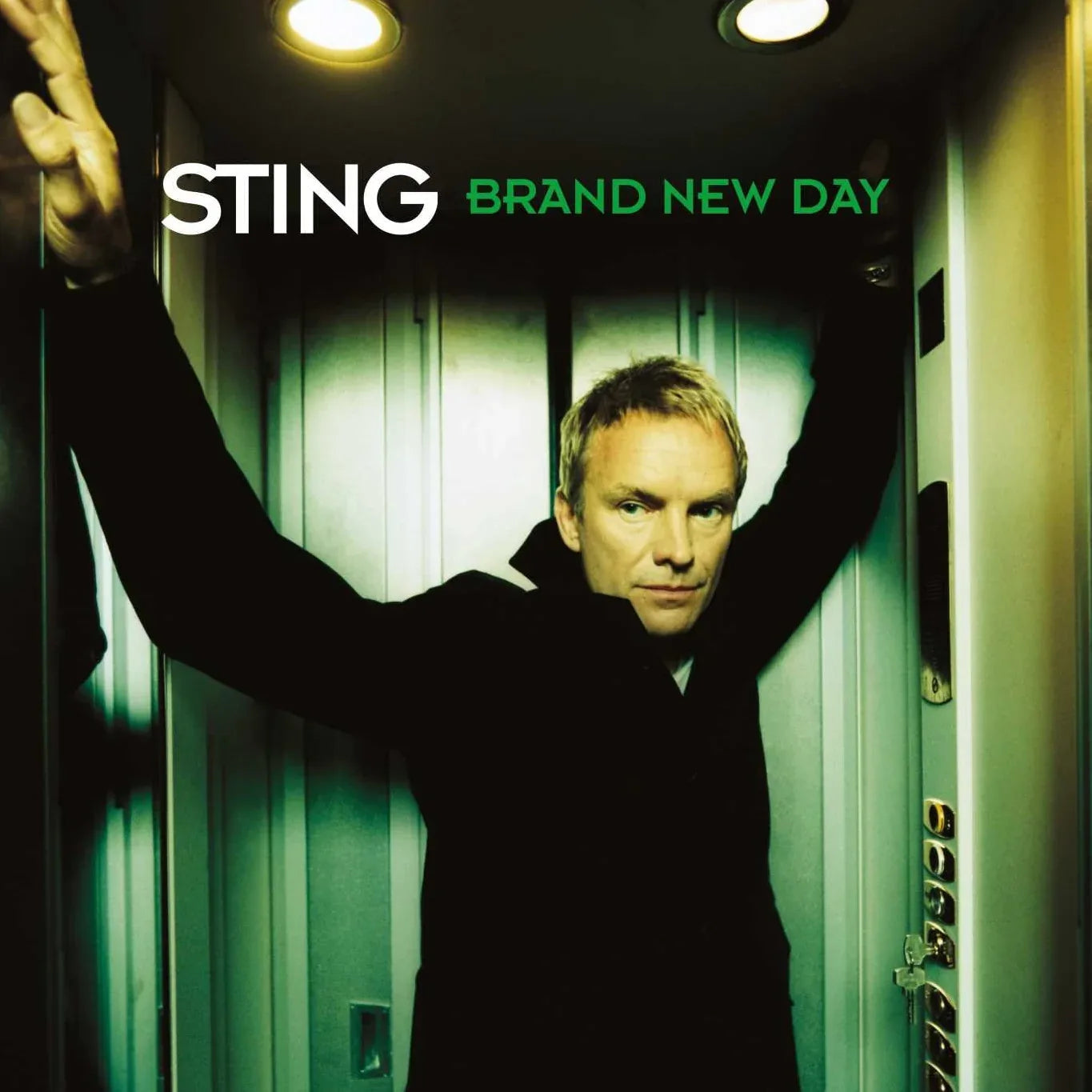 Sting - Brand New Day (2 LP)