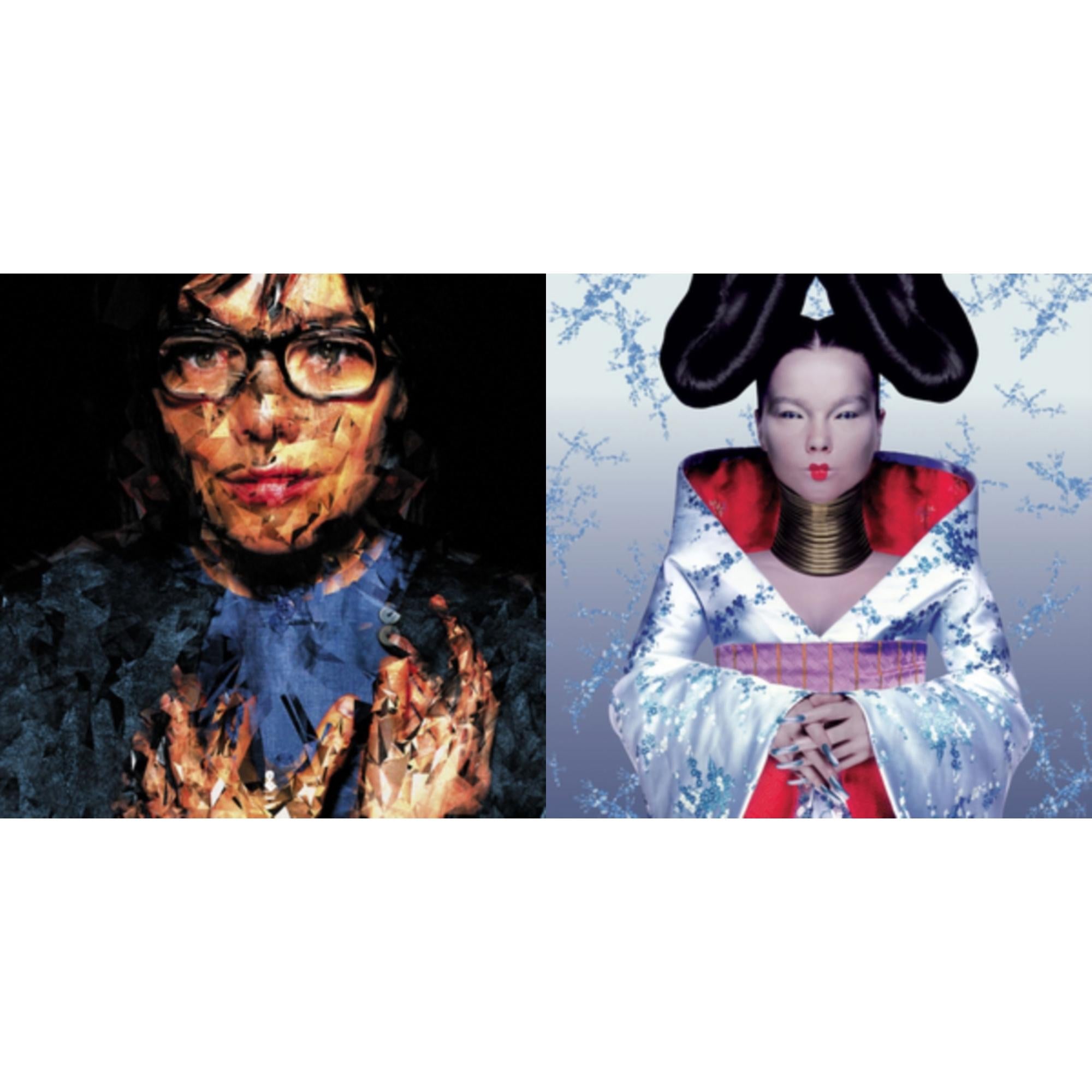 BJORK BUNDLE 2 LP's - Homogenic & Selma Songs - LP Vinyl Bundle