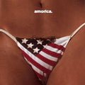 BLACK CROWES, THE - Amorica
