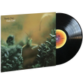 Steely Dan - Katy Lied (Remastered, 180 Gram) (LP)