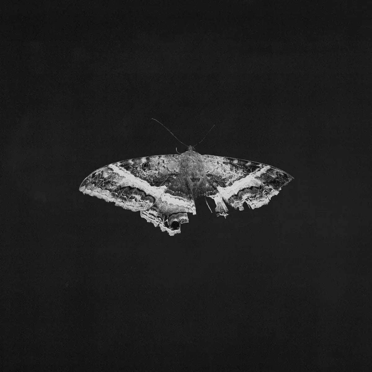 Kendrick Lamar - To Pimp A Butterfly (10 Year Anniversary Edition, Alternate Artwork, Black Marble Vinyl) (2 LP)