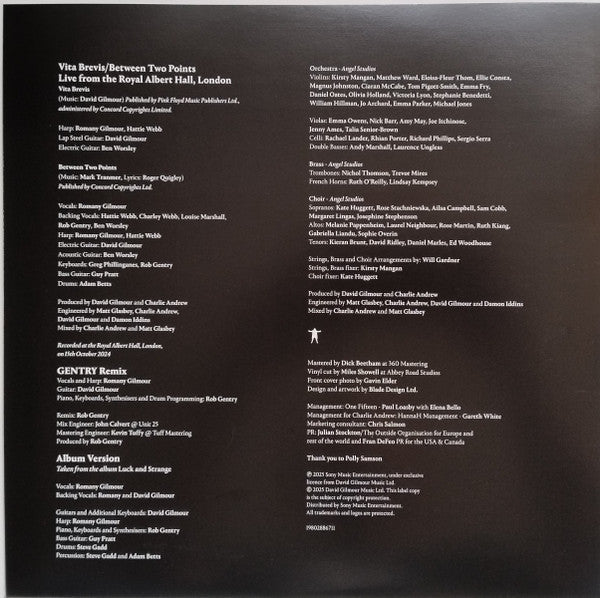 DAVID GILMORE - Between Two Points (2025 RSD COLOR VINYL) | Mint (M) Mint (M)
