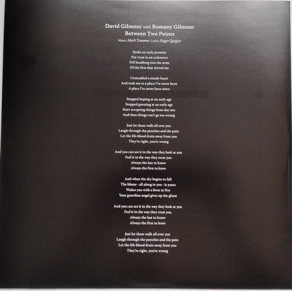 DAVID GILMORE - Between Two Points (2025 RSD COLOR VINYL) | Mint (M) Mint (M)