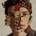 Shawn Mendes (Standard Edition) | Mint (M) Mint (M)