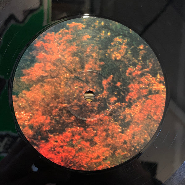 Tame Impala - Innerspeaker | Mint (M) Mint (M)